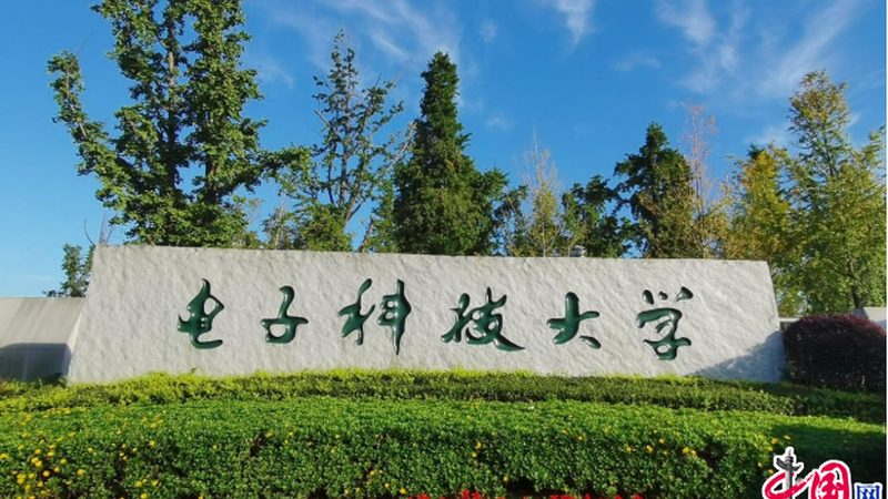 电子元器件品牌对比：如何规避选购误区**